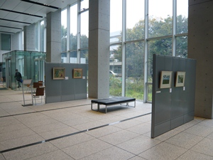 展示の様子